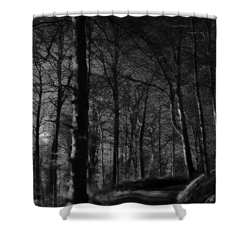 Destination Shower Curtain featuring the photograph Nature's Path by Miguel Winterpacht