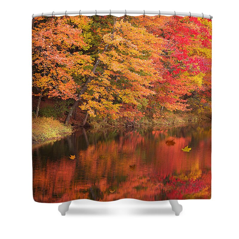 2015 Shower Curtain featuring the photograph Natures Peace by Brenda Giasson