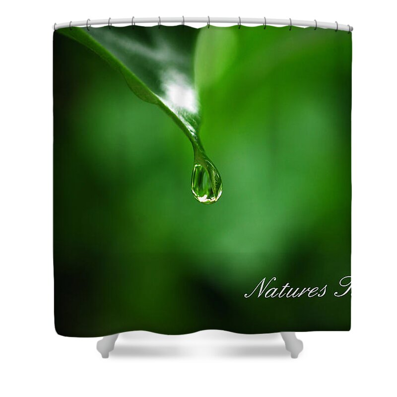 Leaf Shower Curtain featuring the photograph Natures Tear by Lori Tambakis