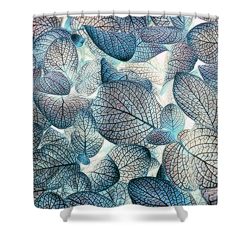 Leaves Shower Curtain featuring the photograph Nature's Tracery by Wayne Sherriff