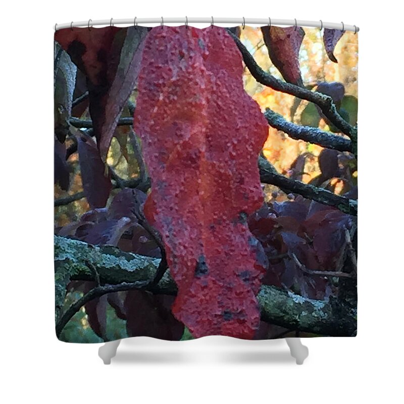 Fallart Shower Curtain featuring the photograph Nature's Turn by Ruben Carrillo