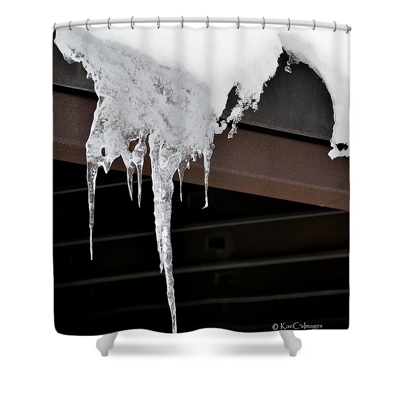 Nature Shower Curtain featuring the photograph Nature's Winter Abstract #4 by Kae Cheatham