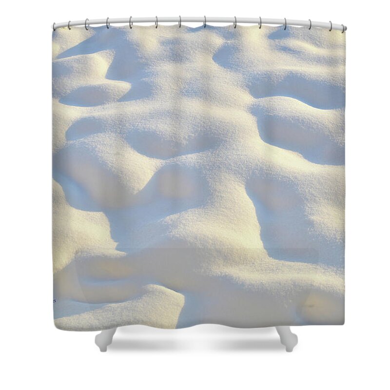 Nature Shower Curtain featuring the photograph Nature's Winter Abstract #5 by Kae Cheatham