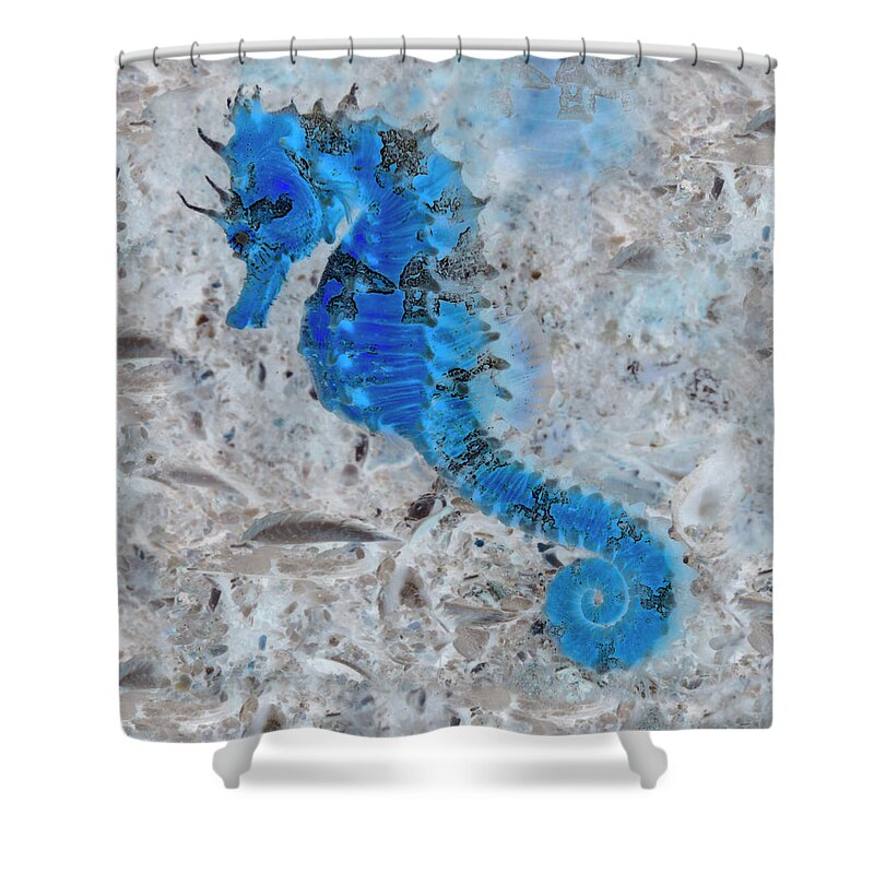 Florida Shower Curtain featuring the photograph Nautical Beach and Fish #6 by Debra and Dave Vanderlaan