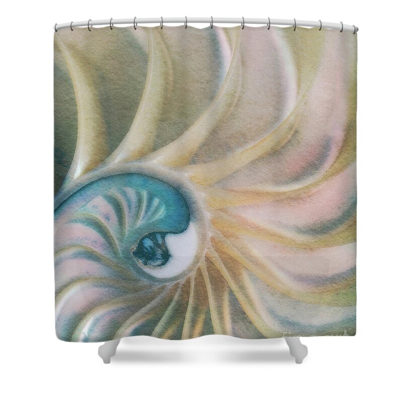 Fine Art Photography Shower Curtain featuring the photograph Nautilus #1, Embryo by John Strong