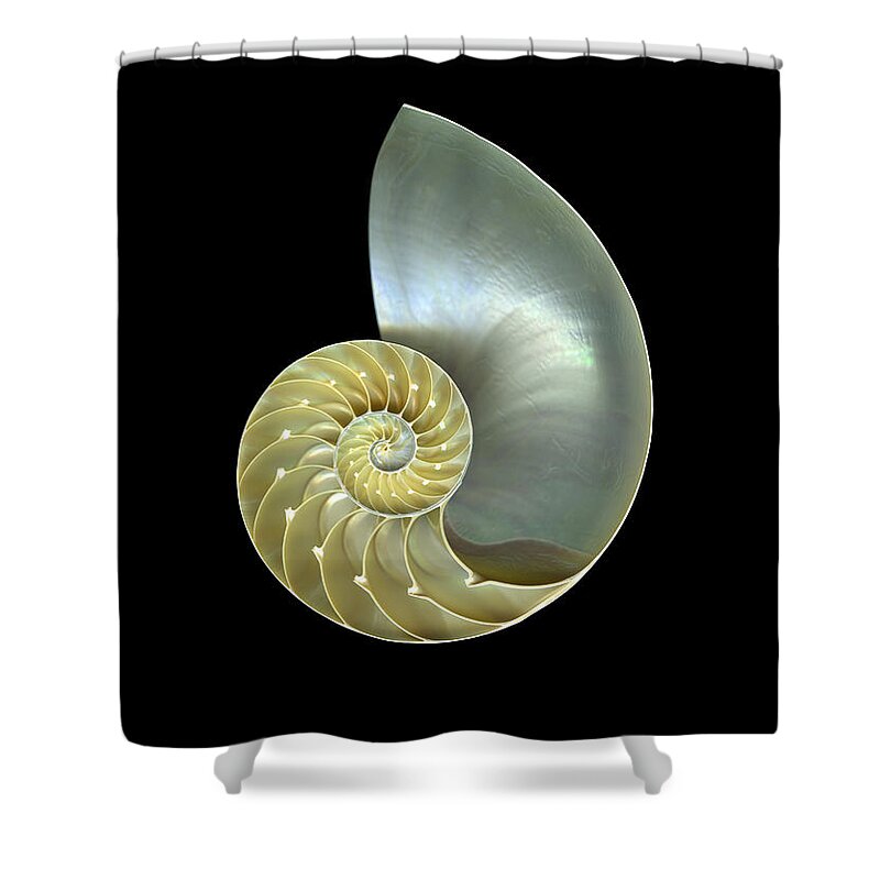 Slanec Shower Curtain featuring the photograph Nautilus Nr.1 by Christian Slanec