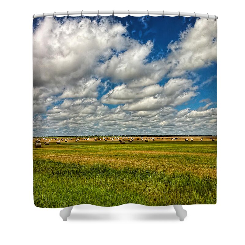 Nebraska Shower Curtain featuring the photograph Nebraska Wheat Fields by Ginger Wakem