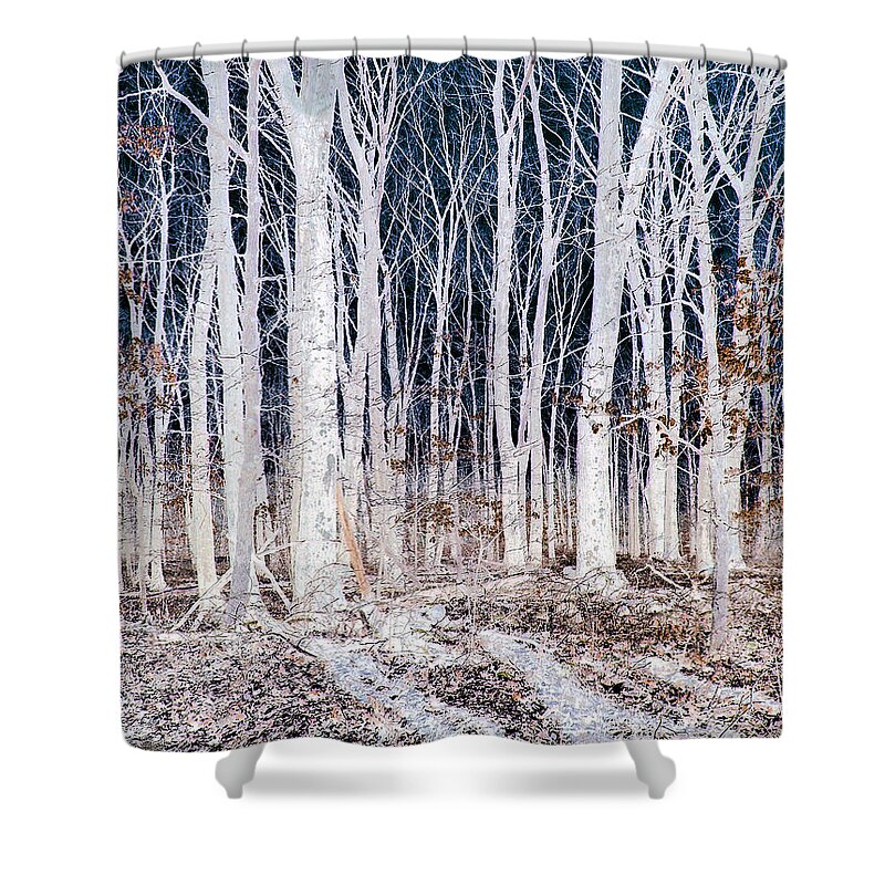 Tree Shower Curtain featuring the photograph Negative Spaces by Lauren Radke
