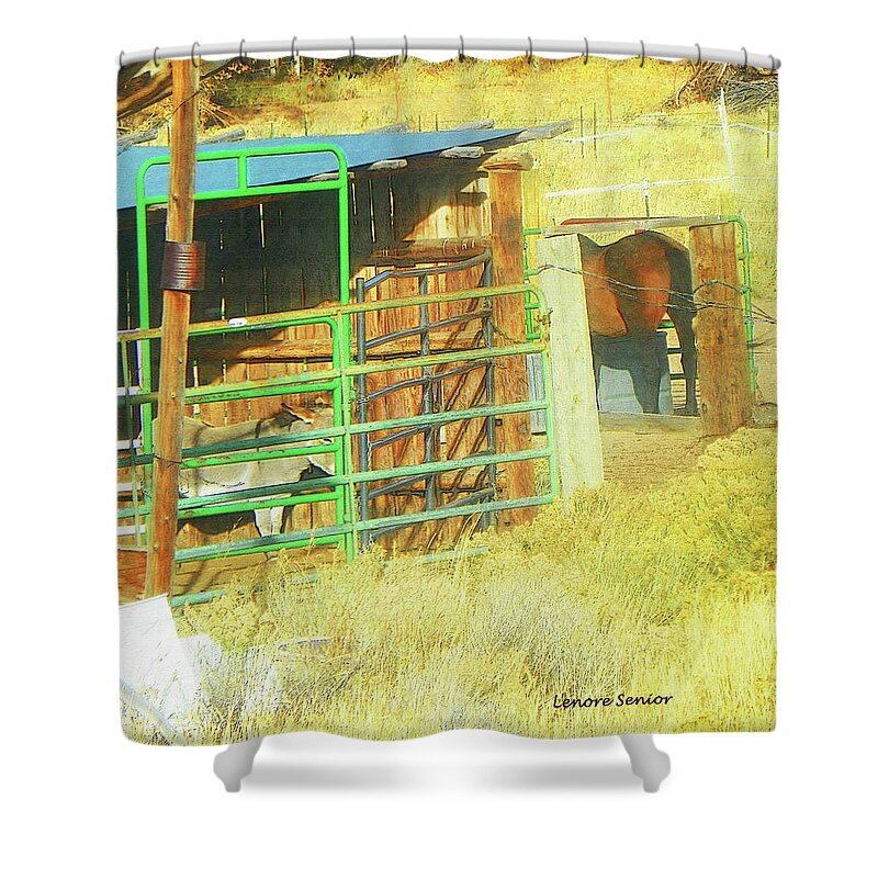 Expressive Shower Curtain featuring the photograph Neighbors by Lenore Senior