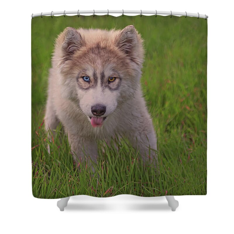 Animal Shower Curtain featuring the photograph Neo by Brian Cross