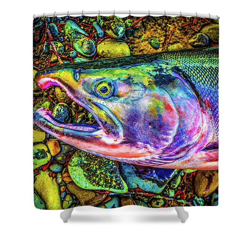 Fishing Shower Curtain featuring the photograph Neon Coho by Jason Brooks