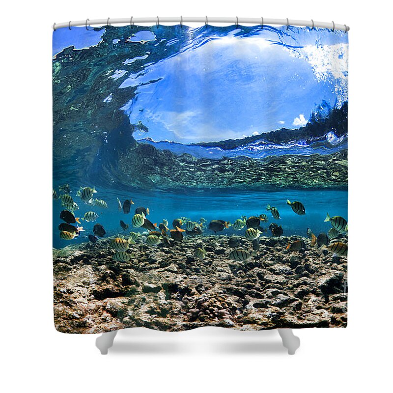 Sea Shower Curtain featuring the photograph Neptunes Eye by Sean Davey