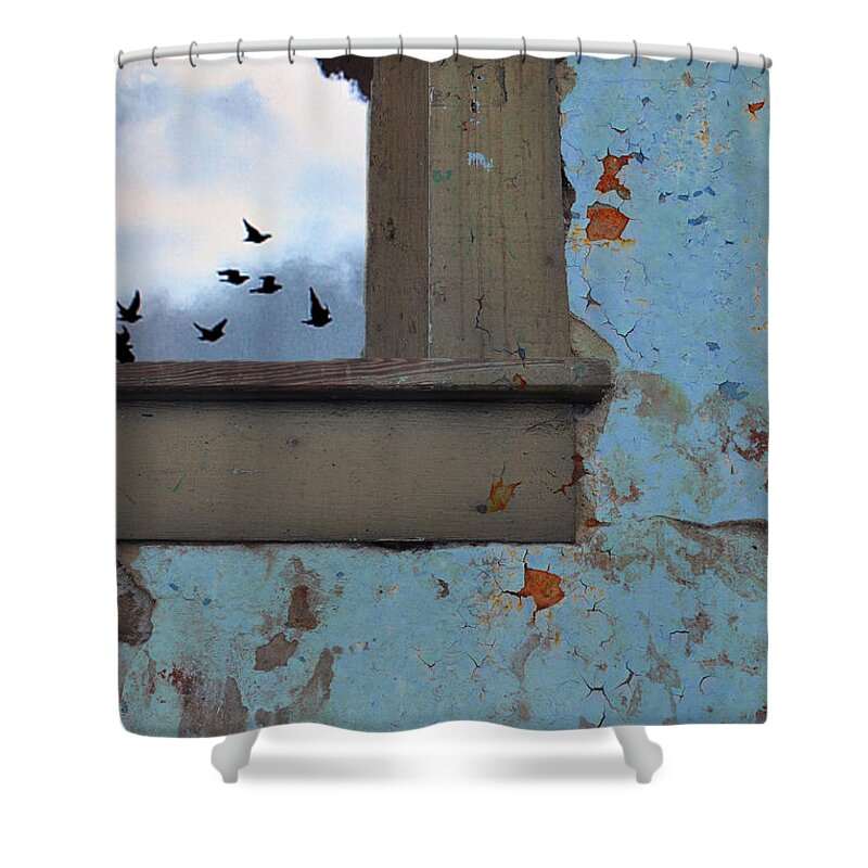 Skies Shower Curtain featuring the photograph Never Say Farewell by Jan Amiss Photography