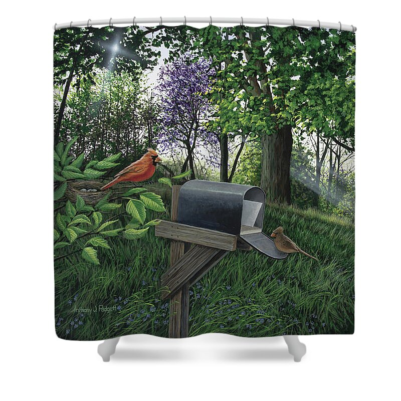 Cardinal Shower Curtain featuring the painting New Beginnings by Anthony J Padgett