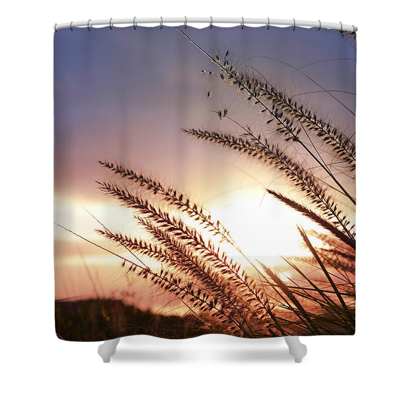 Beach Shower Curtain featuring the photograph New Day by Laura Fasulo