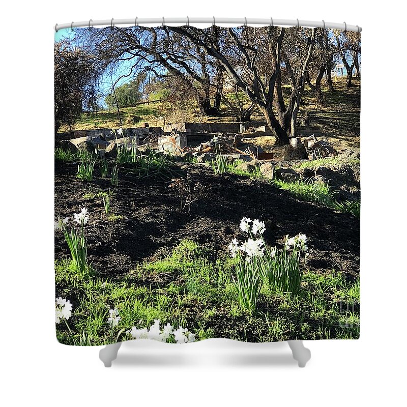 Flowers Shower Curtain featuring the photograph New growth from Sandra Rosa Fires by Suzanne Lorenz
