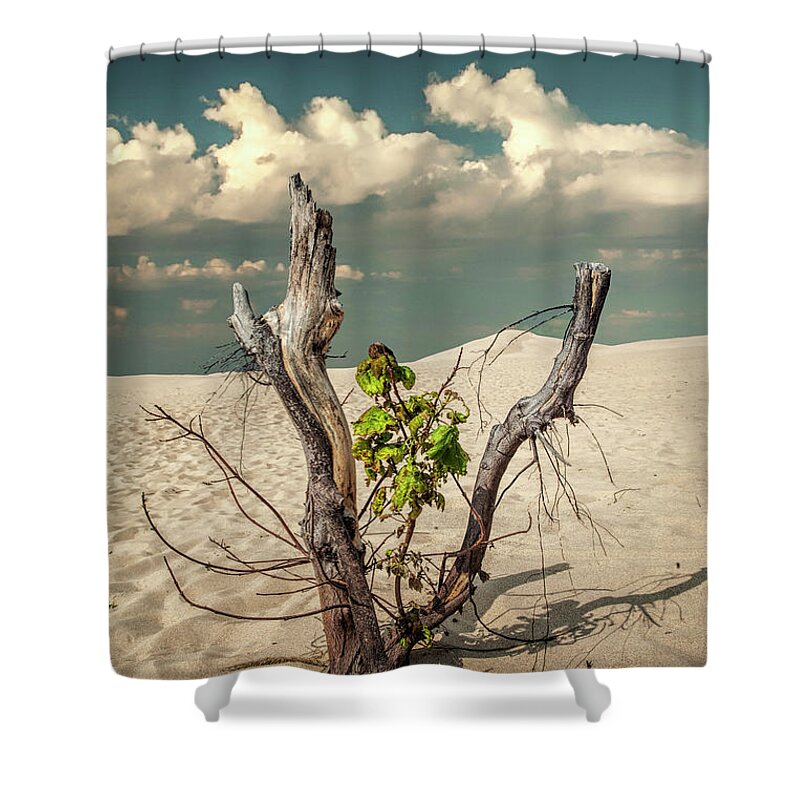 Art Shower Curtain featuring the photograph New Life Sprouting with Dead Trees and Cloudy Sky by Randall Nyhof