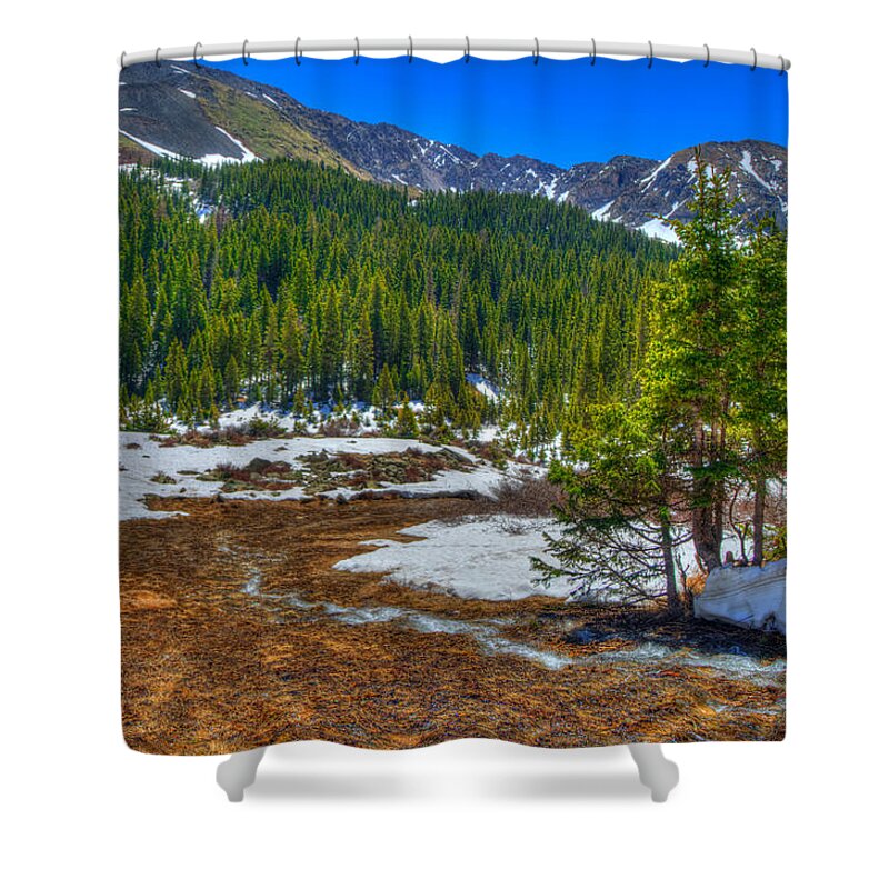 New Mexico Shower Curtain featuring the photograph New Mexico 17 #1 by David Henningsen