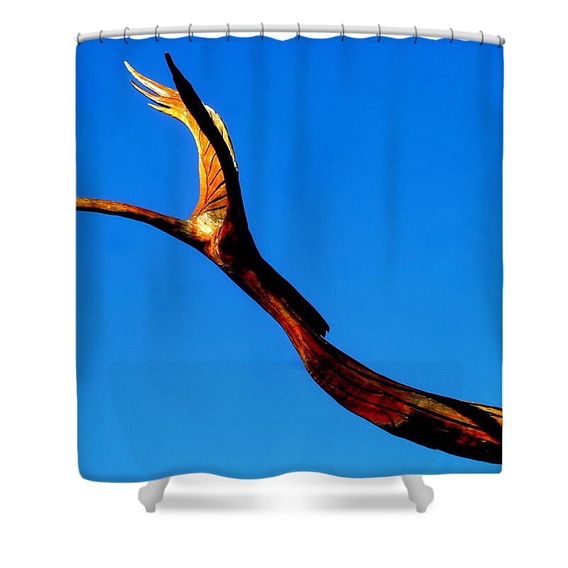 Nola Shower Curtain featuring the photograph New Orleans Bird Tree Sculpture In Louisiana by Michael Hoard