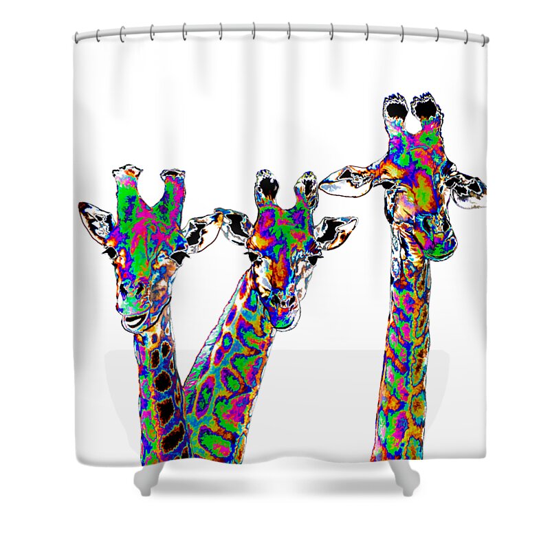Africa Shower Curtain featuring the photograph New Pajamas by Susan Eileen Evans