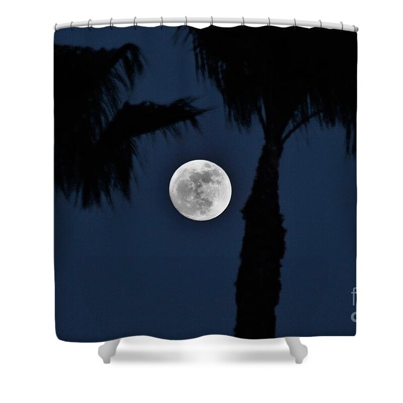 Rancho Santa Margarita Shower Curtain featuring the photograph New Years Eve Moon Rise by Donn Ingemie
