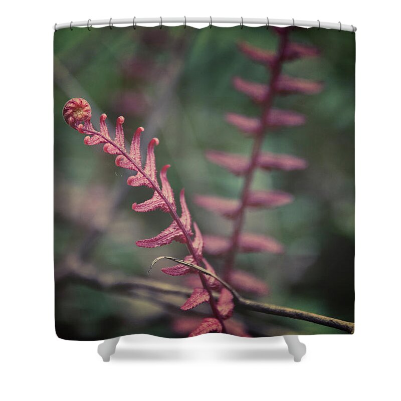 Rangitoto Shower Curtain featuring the photograph New Zealand Fern by Joan Carroll