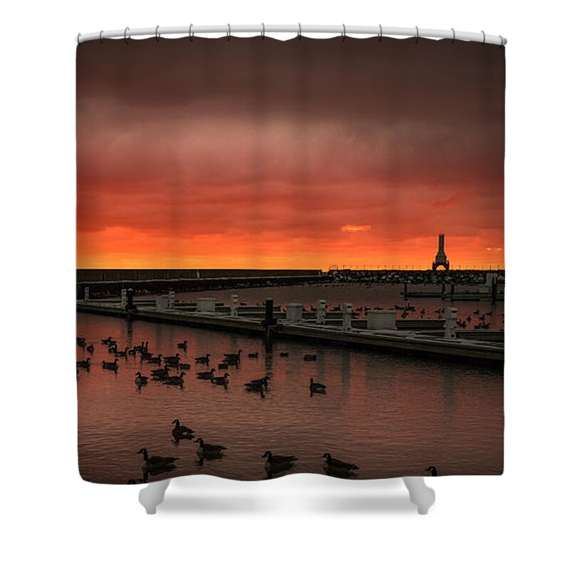 Sunrise Shower Curtain featuring the photograph Newport Geese by James Meyer