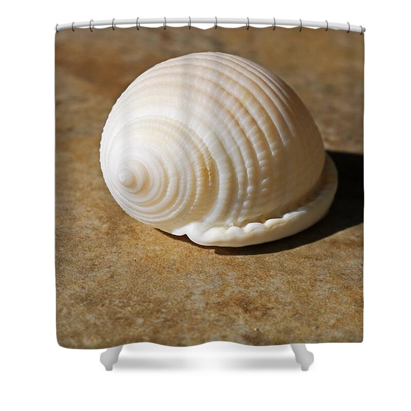 White Shower Curtain featuring the photograph Niecey's Scottish Bonnet by Michiale Schneider