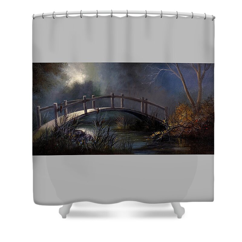 Lynne Pittard Shower Curtain featuring the painting Moonlit Bridge by Lynne Pittard