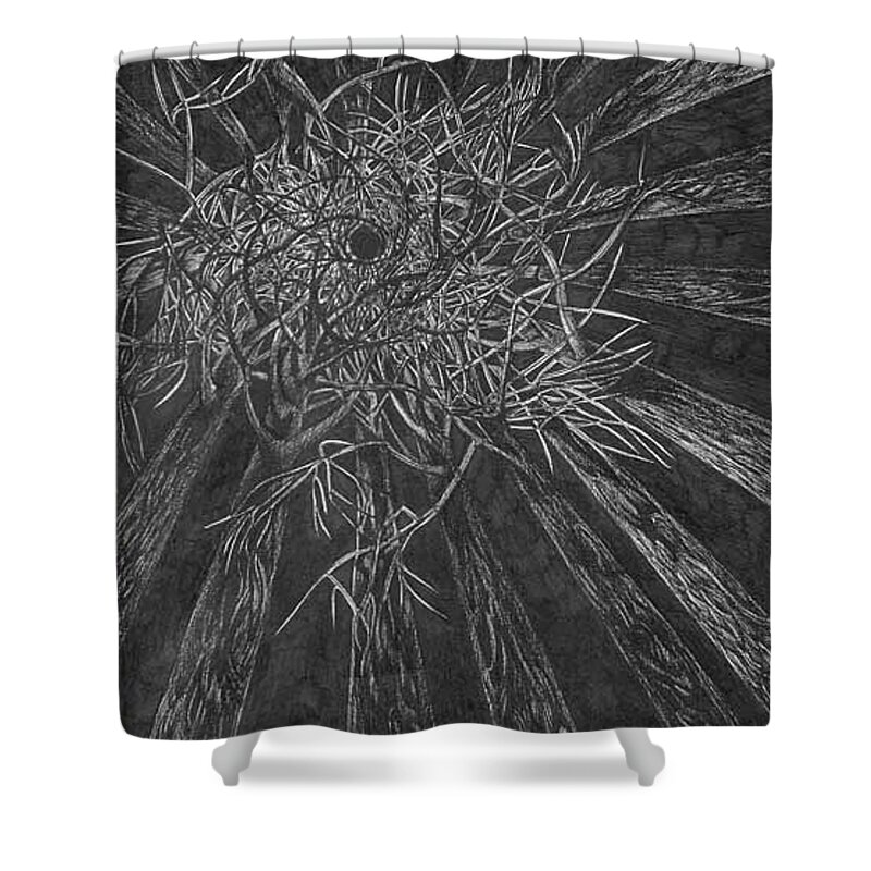 Pen And Ink Shower Curtain featuring the drawing Night Cathedral by Anna Duyunova