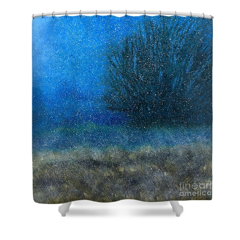  Shower Curtain featuring the painting Night Snow by Barrie Stark