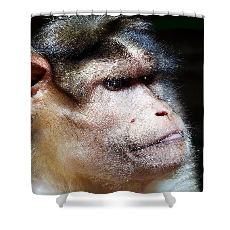 Speechless Shower Curtain featuring the photograph Night Time by Dennis Dugan