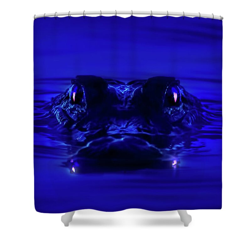 Alligator Shower Curtain featuring the photograph Night Watcher by Mark Andrew Thomas