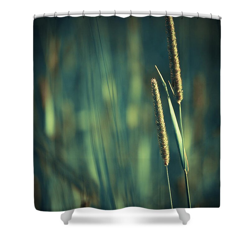 Green Photographs Shower Curtain featuring the photograph Night Whispers by Aimelle Ml