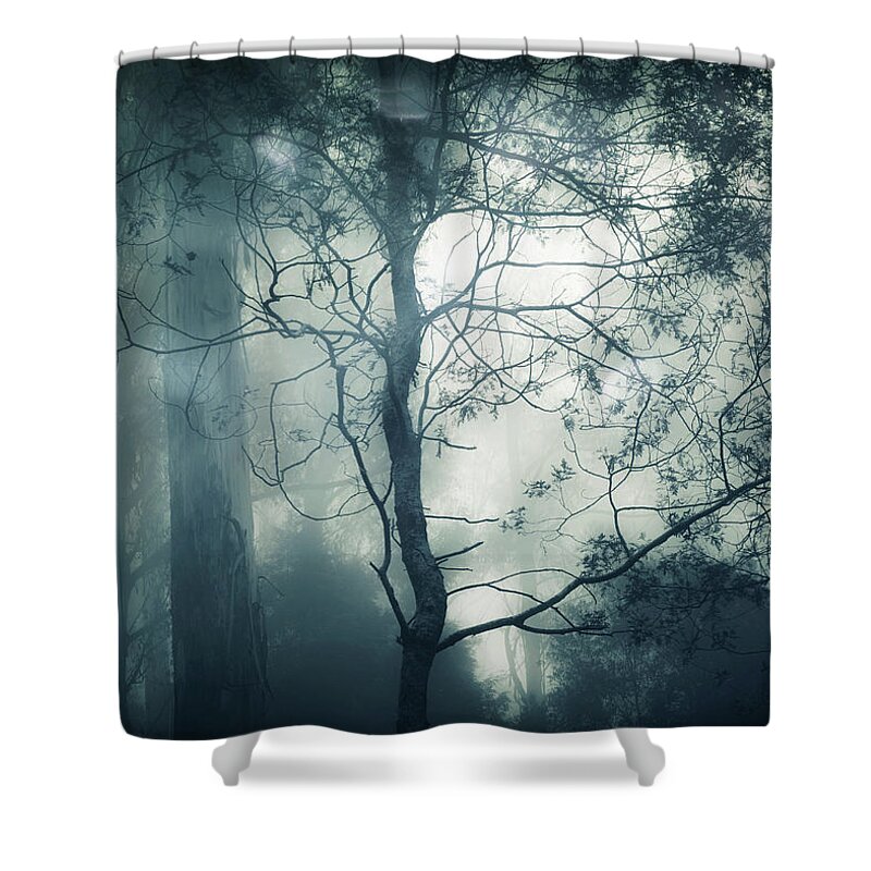 Fog Shower Curtain featuring the photograph Nightfall by Amy Weiss