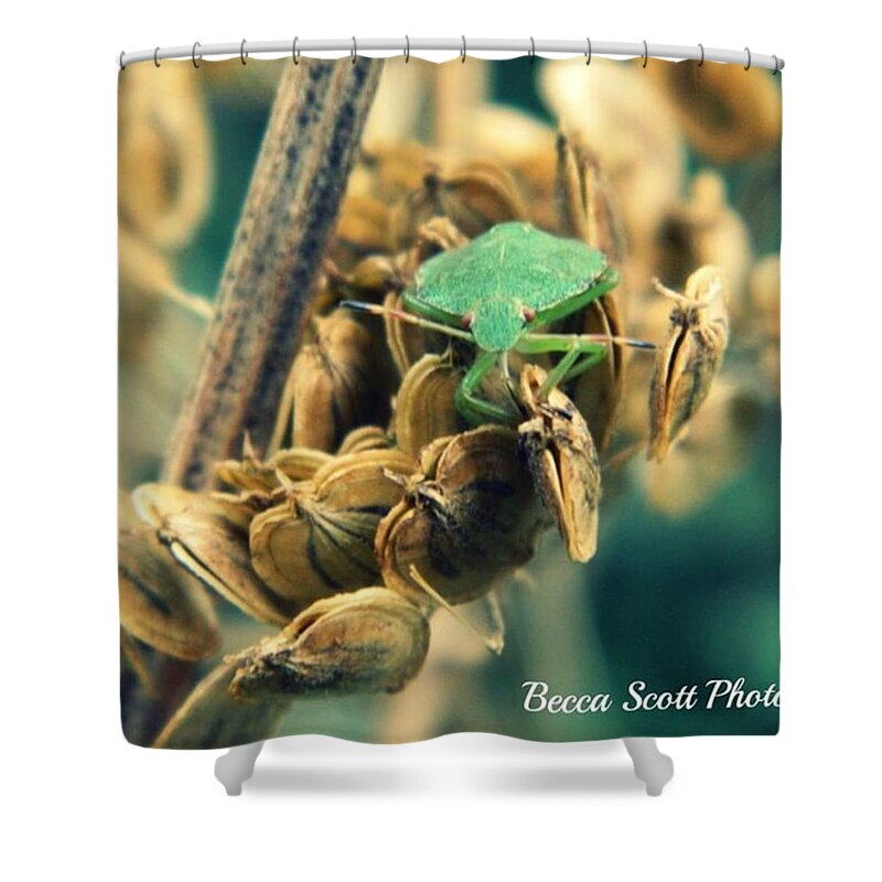 Nikon Shower Curtain featuring the photograph Go for green by Becca Scott 
