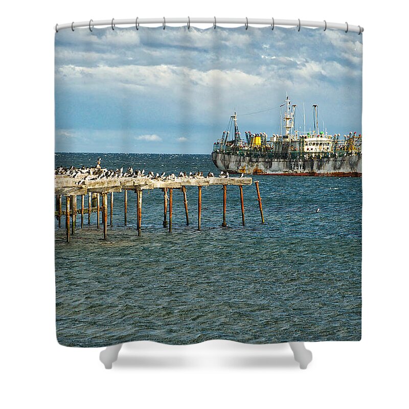 Punta Arenas Shower Curtain featuring the photograph Ning Tai 57 by Richard Gehlbach