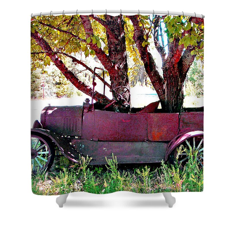 Car Shower Curtain featuring the photograph No Parking #2 by Bob Johnson