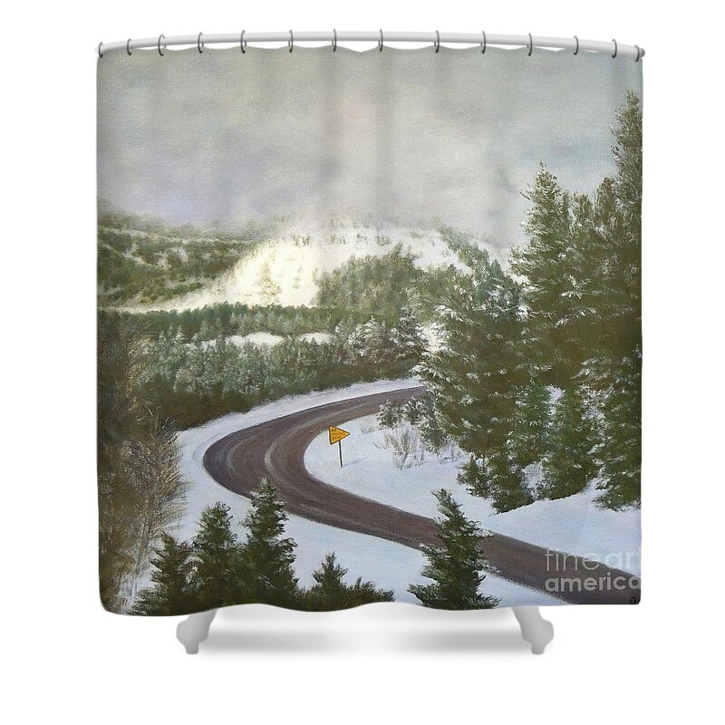 Snow Scene Shower Curtain featuring the painting No Passing Zone by Phyllis Andrews