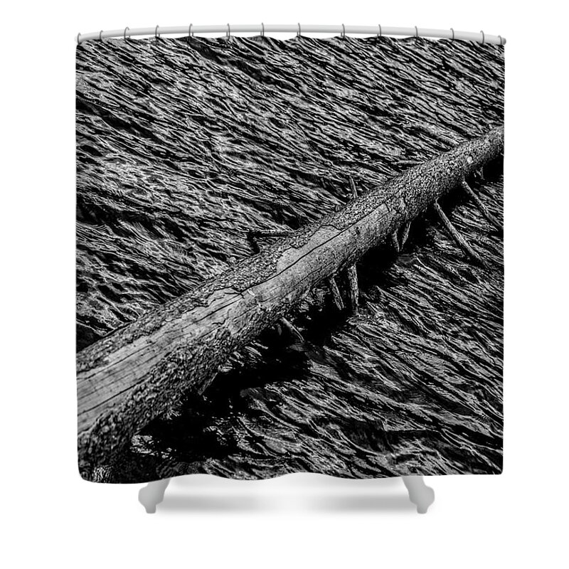Black And White Shower Curtain featuring the photograph No Splash Down by Michael Brungardt