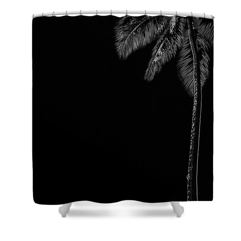 Noche Negra Shower Curtain featuring the photograph Noche Negra by Edward Smith