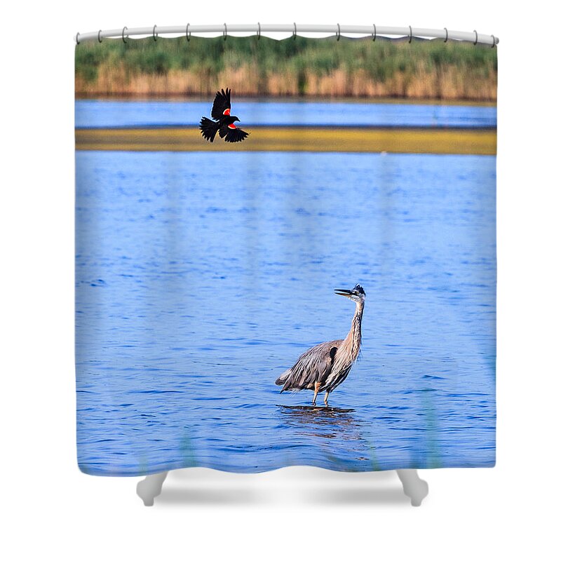 Great Shower Curtain featuring the photograph Noisy Neighbor by Allan Levin