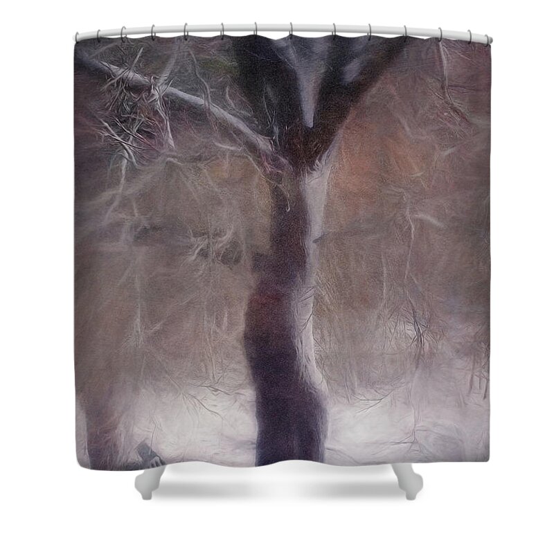 Tree Shower Curtain featuring the photograph Nor'easter #3 by Kate Hannon