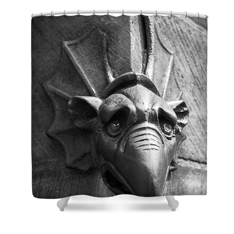 Alsace Shower Curtain featuring the photograph North Portal Mascaron B W by Teresa Mucha