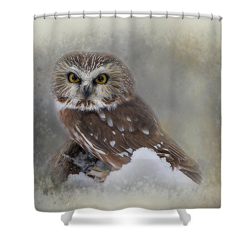 Owl Shower Curtain featuring the digital art Northern Saw-whet Owl by Teresa Wilson