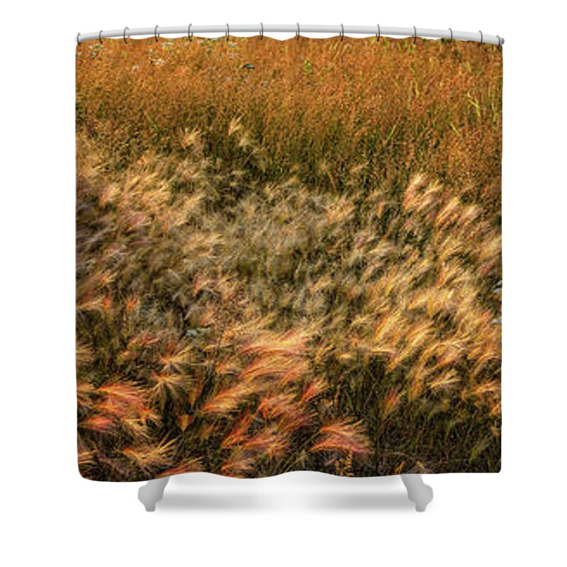Panorama Shower Curtain featuring the photograph Northern Summer by Doug Gibbons