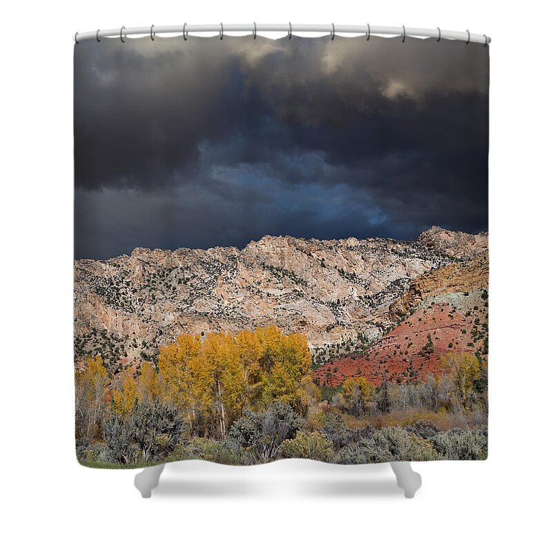 Ashley National Forest Shower Curtain featuring the photograph Northern Uintas Autumn by Kathleen Bishop