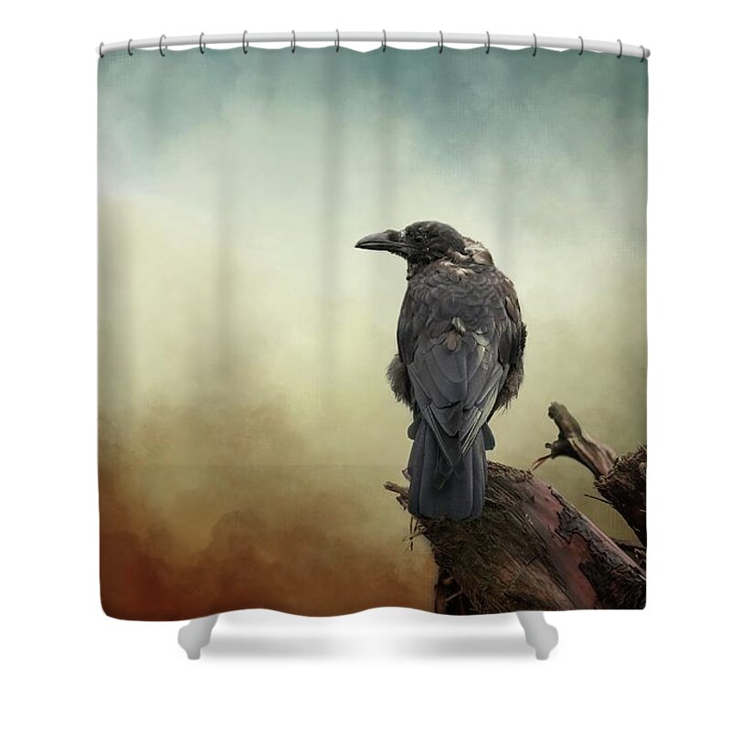 Northwestern Crow Shower Curtain featuring the photograph Northwestern Crow by Eva Lechner