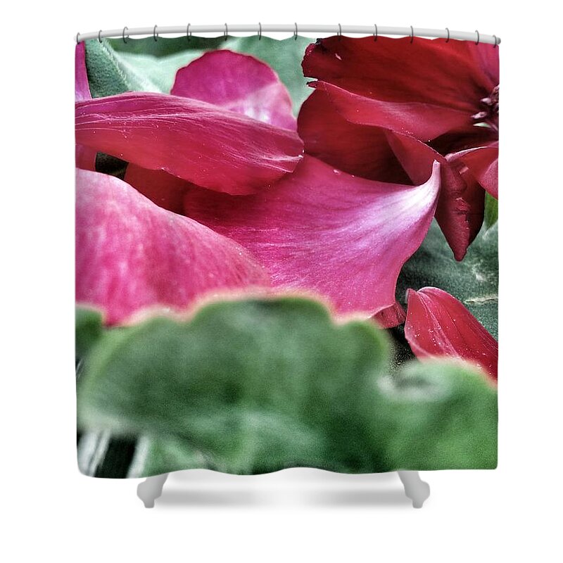 Geranium Shower Curtain featuring the photograph Not a 4 Leaf Clover by Robert Knight