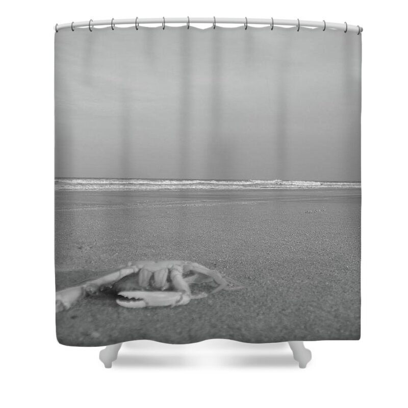 Crab Shower Curtain featuring the photograph Not ever going back to sea again.... by WaLdEmAr BoRrErO